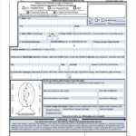 38 PASSPORT RENEWAL HOW MANY PHOTOS PassportRenewal