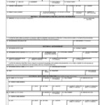 B Dd Form 1172 Pplasopa