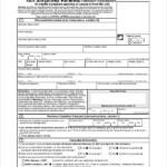 Brazilian Passport Renewal Application Form 2022