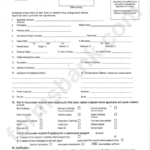 British Passport Renewal Form New Zealand Printable Form 2022