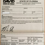 California Dmv Registration Form 262 Form Resume Examples e79QBBkYkQ