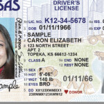 Canadian Drivers License Renewal Plusexpo