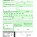 Cidb Certificate Pdf Fill Out And Sign Printable PDF Template SignNow