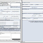 DS 82 Application For Passport Renewal By Mail Passport Printable