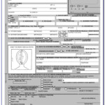 Ethiopian Passport Renewal Application Form In Canada