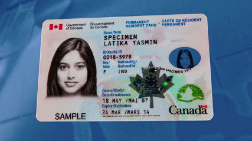 Expired Maple Leaf Card Can Turn Immigrants Into Exiles The Star