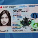 Expired Maple Leaf Card Can Turn Immigrants Into Exiles The Star