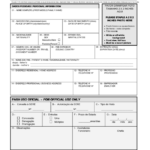 Fillable Consulate General Of Brazil In New York Visa Application