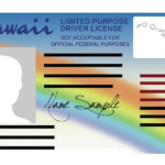 Honolulu Drivers License Renewal Form