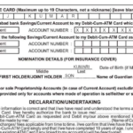 How To Fill Allahabad Bank Debit Card Apply Form