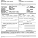 Indian Passport Renewal Application Form