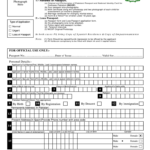 Pakistani Passport Application Form Fill Out And Sign Printable PDF