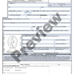 Passport Renewal Application Ds 82 Form Printable US Legal Forms