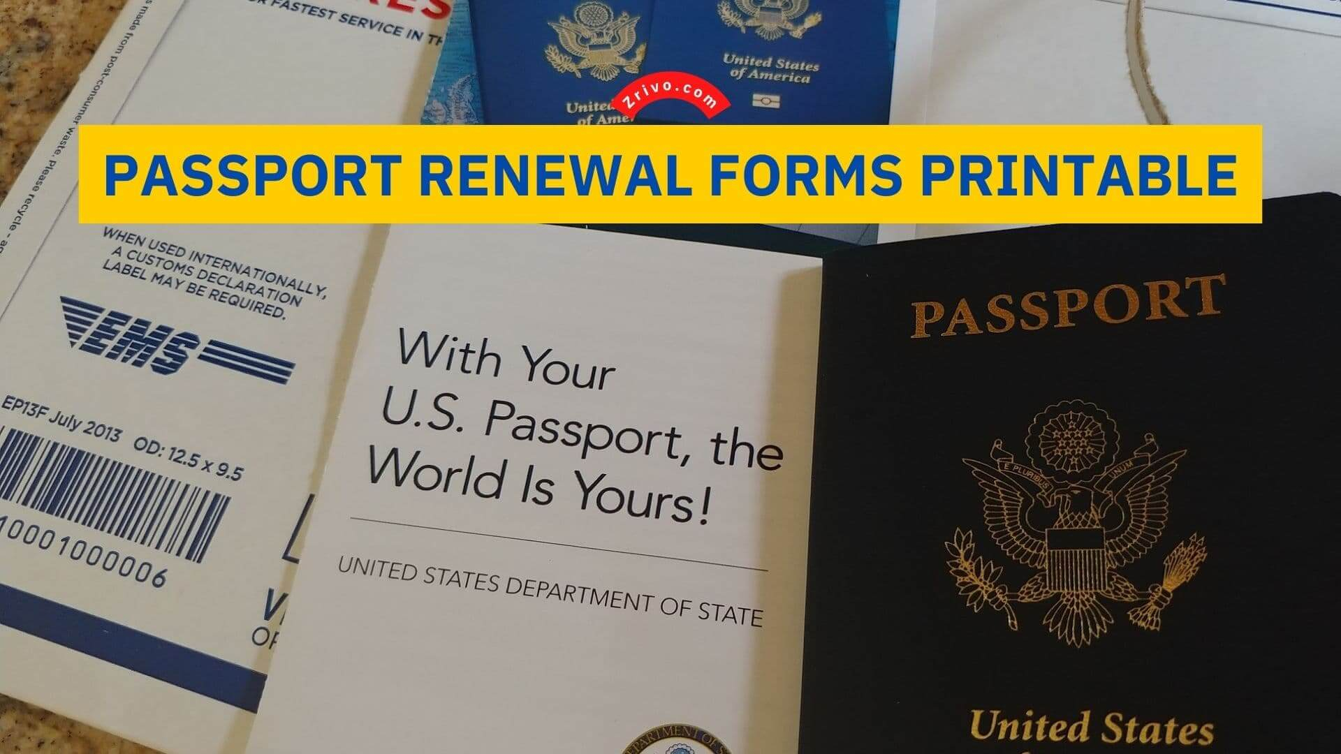 Passport Renewal Forms Printable 2022