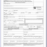 Printable British Passport Renewal Form Form Resume Examples