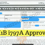 Renew Indian Passport In USA VFS Process Documents USA