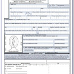 Renewal Passport Forms Nz Form Resume Examples xg5bJ4G5lY