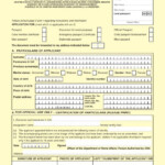 South African Passport Renewal Forms Uk Printable Form 2022