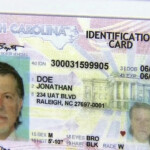 South Carolina Dmv Renew License