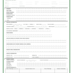 T t Passport Application Form Printable Form 2022