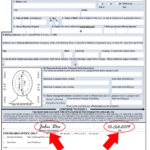 U S Passport Renewal Applications Form DS 82 U S Embassy