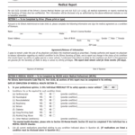 2010 Form IL DSD DC 163 Fill Online Printable Fillable Blank PdfFiller