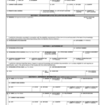 2011 Form DD 1172 2 Fill Online Printable Fillable Blank PdfFiller