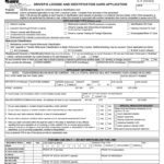 2016 2020 Form VA DL 1P Fill Online Printable Fillable Blank PdfFiller