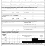 2017 2022 Form USCG CG 719B Fill Online Printable Fillable Blank