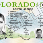 48 PDF SAMPLE DRIVER S LICENSE NUMBER FREE PRINTABLE DOWNLOAD DOCX