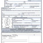 82 PASSPORT RENEWAL FORM DS 82 PassportRenewal