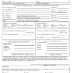 Application Form Dfa Passport Application Form