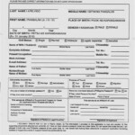 Bls Indian Passport Renewal Application Form