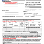 Business License Renewal Form For The City Of Seaside Ca Printable Pdf