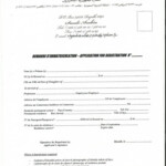 Cameroon Embassy Passport Renewal Form Printable Form 2022