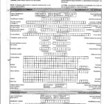 Car License Renewal Form