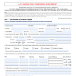 Cayman Temporary Work Permit Form Pdf 2020 Fill Out Sign Online DocHub