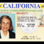 CYD CHARISSE STATE IDENTIFICATION CARD Current Price 150