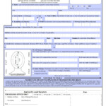 Dutch Passport Renewal Form In English Printable Form 2022