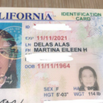 Fashion PULIS Insta Scoop Aiai Delas Alas Gets Her California ID