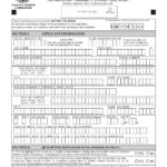 Florida Concealed Weapons Permit Renewal Form 2020 2022 Fill And Sign