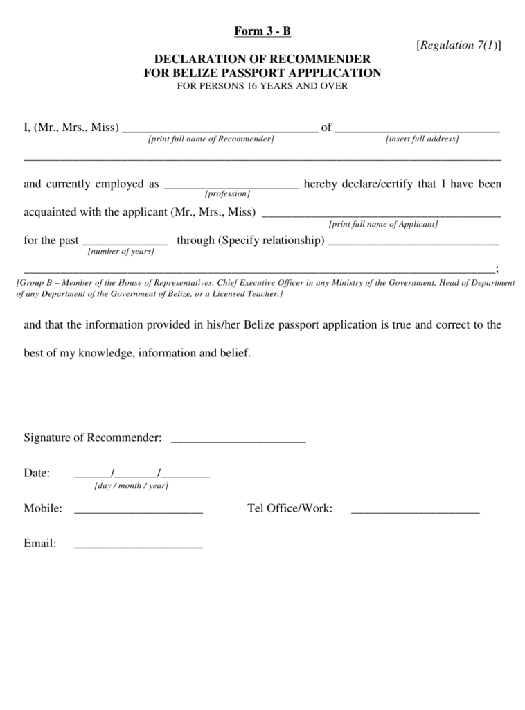 Form 3 B Download Printable PDF Or Fill Online Declaration Of 