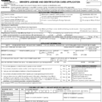 Form DL1P Download Fillable PDF Or Fill Online Driver s License And