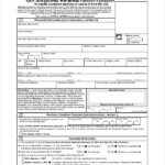 FREE 8 Sample Passport Application Forms In PDF