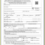 Guyana Consulate Passport Renewal Form Form Resume Examples yKVBbkwMVM