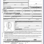 Guyana Passport Office Renewal Form Form Resume Examples 0ekoz0aOmz