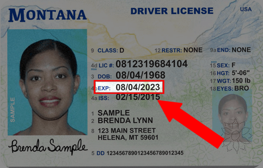 How To Renew A Montana Drivers License DMV