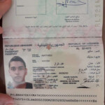 How To Renew Your Lebanese Passport WHODOTO