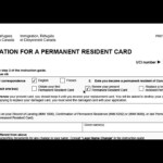 Imm 5444e Application For Permanent Resident Card How To Fill YouTube