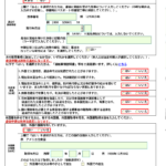 Japanese English Passport Form Help redo Translator